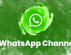 Finswimmer Magazine WhatsApp Channel, Finswimmer Magazine - Finswimming News